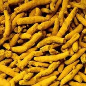 Turmeric Finger